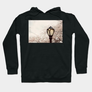 Central Park Blossom #1 Hoodie